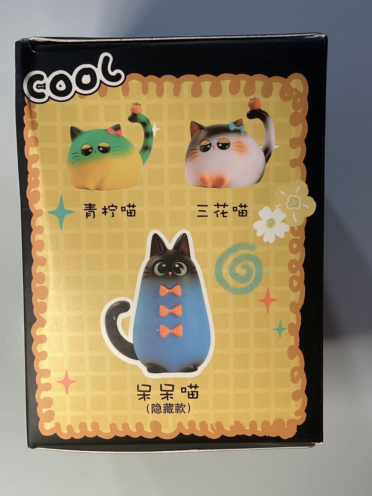 Cute little kittens ~ black box