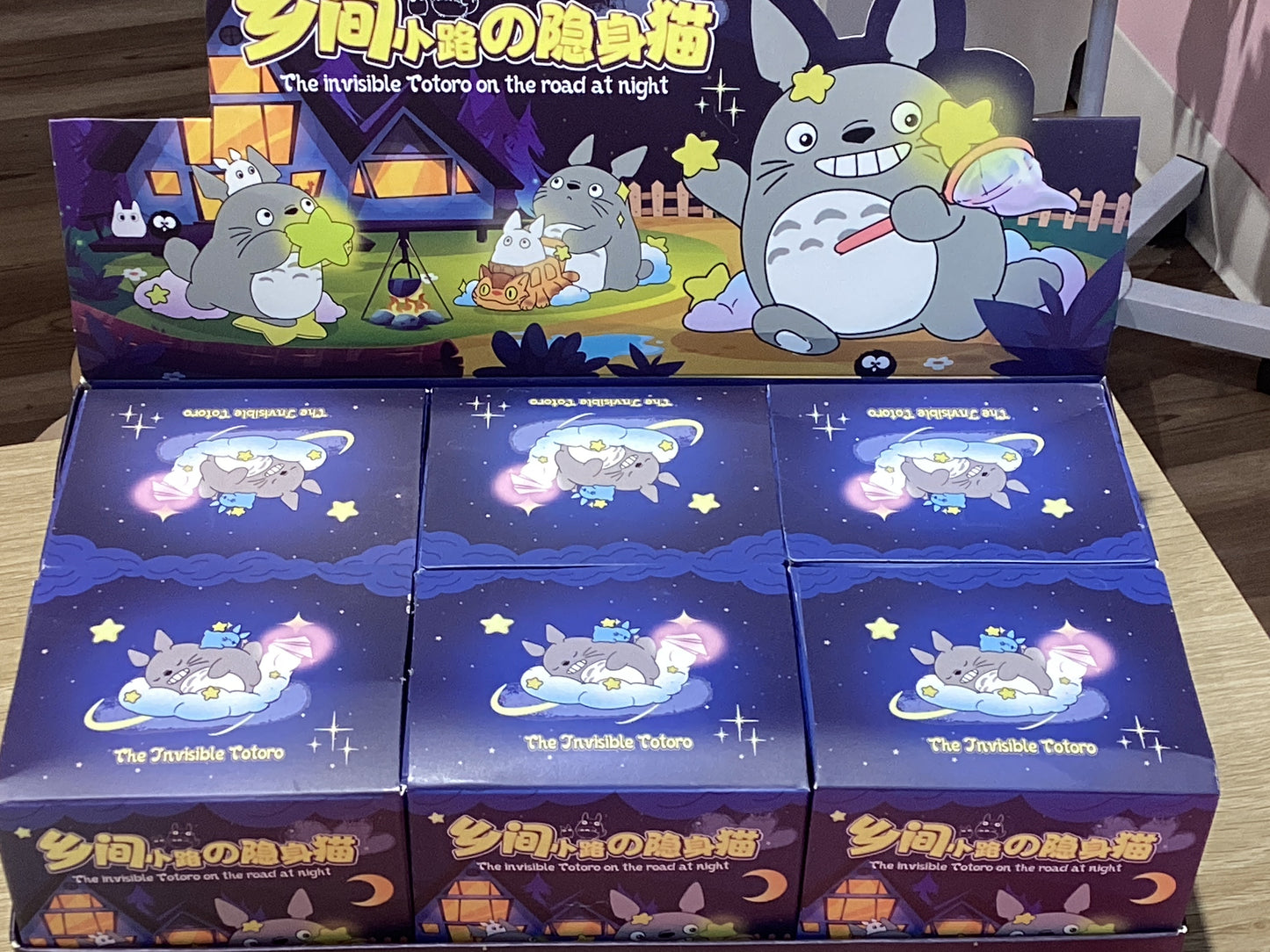 Blind Box The Invisible Totoro