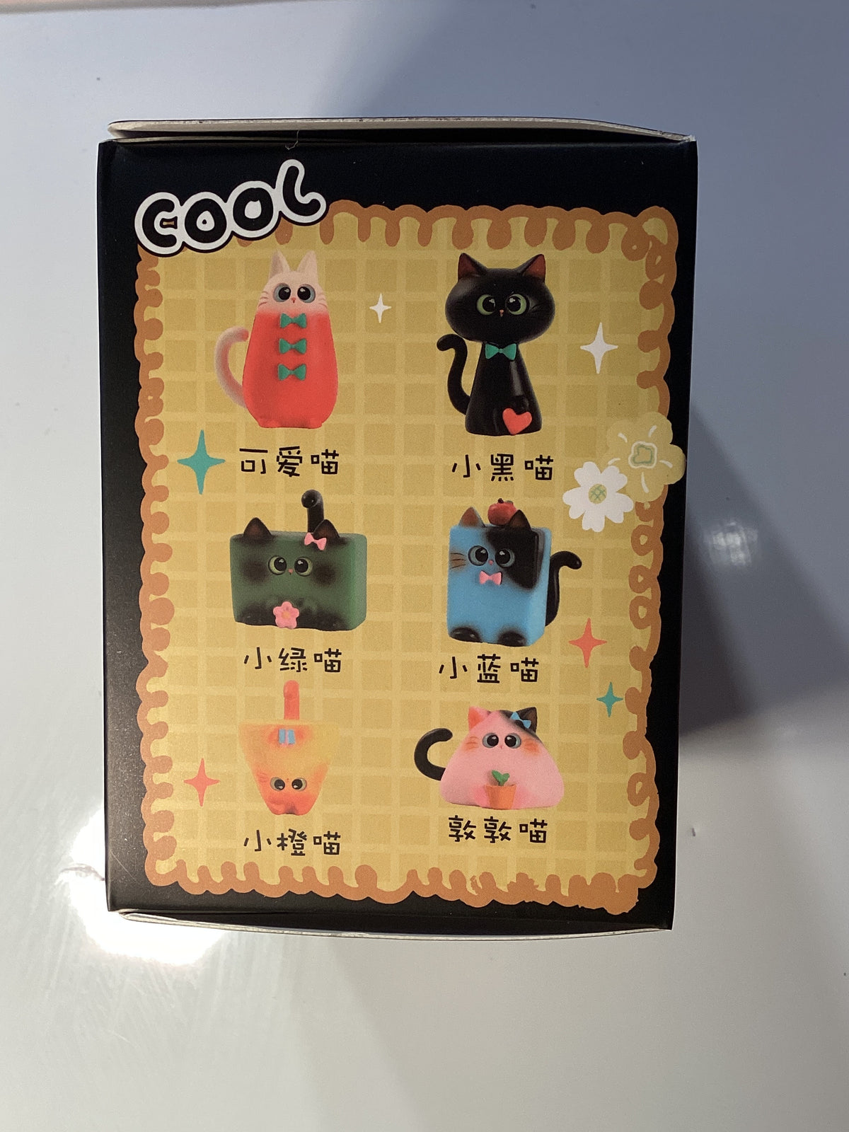 Cute little kittens ~ black box