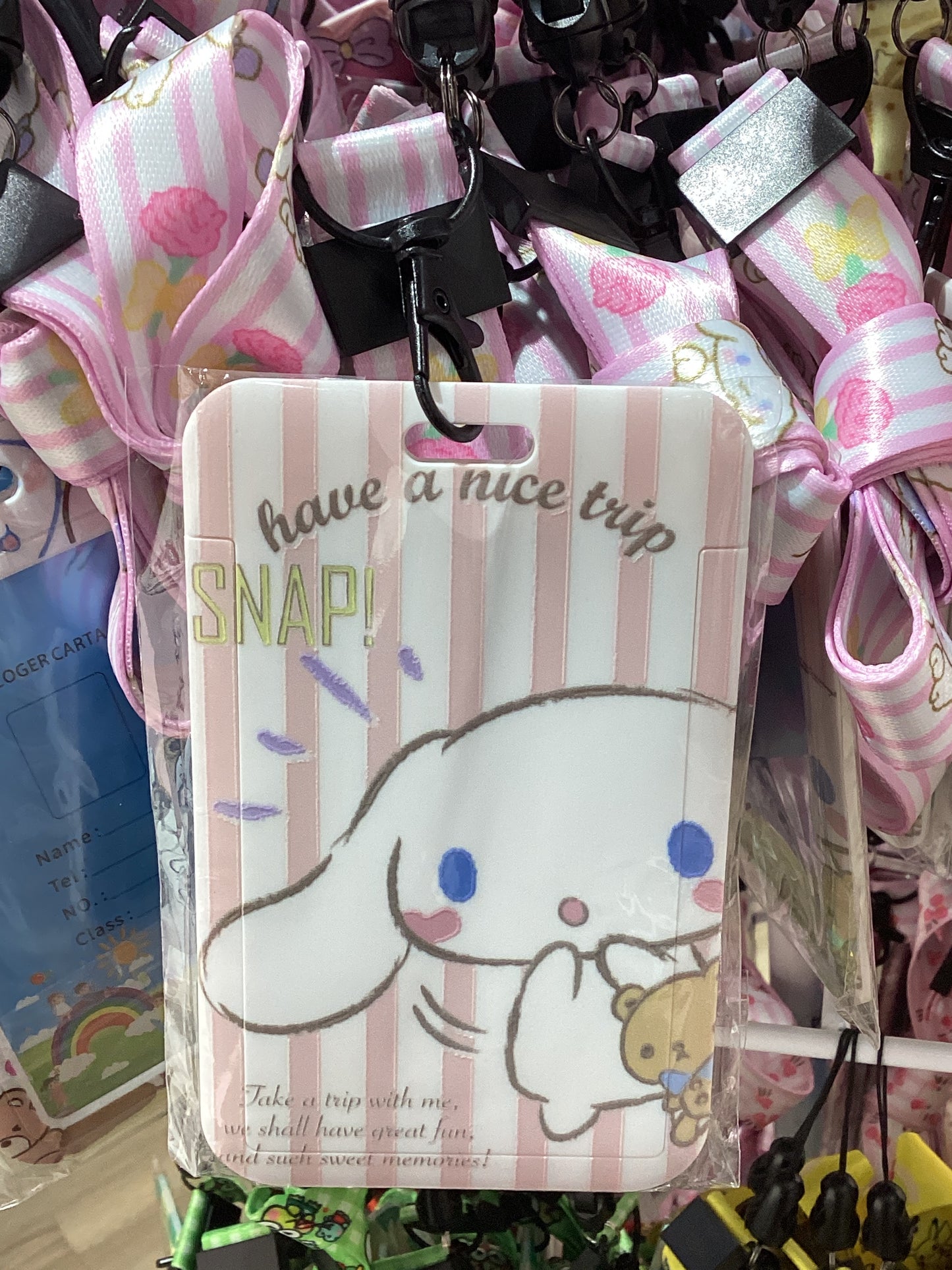 Card Case + Lanyard