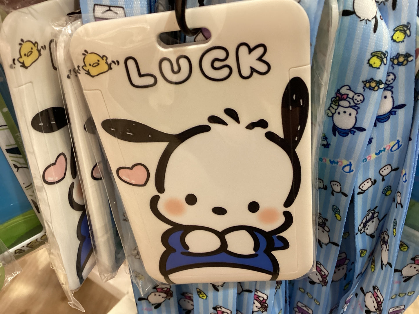Card Case + Lanyard