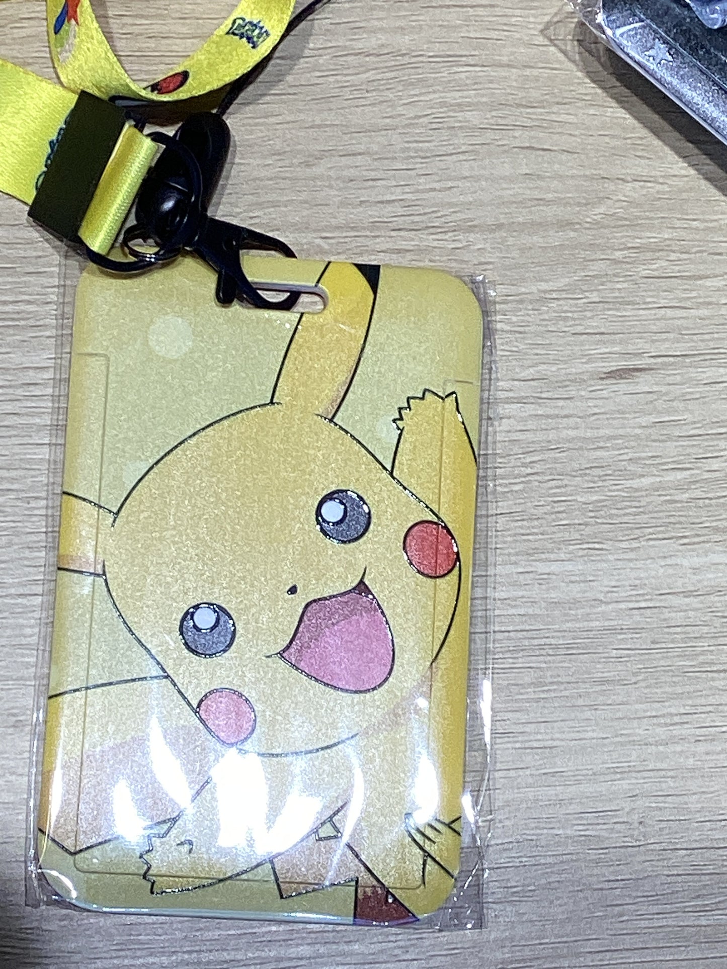 Card Case + Lanyard