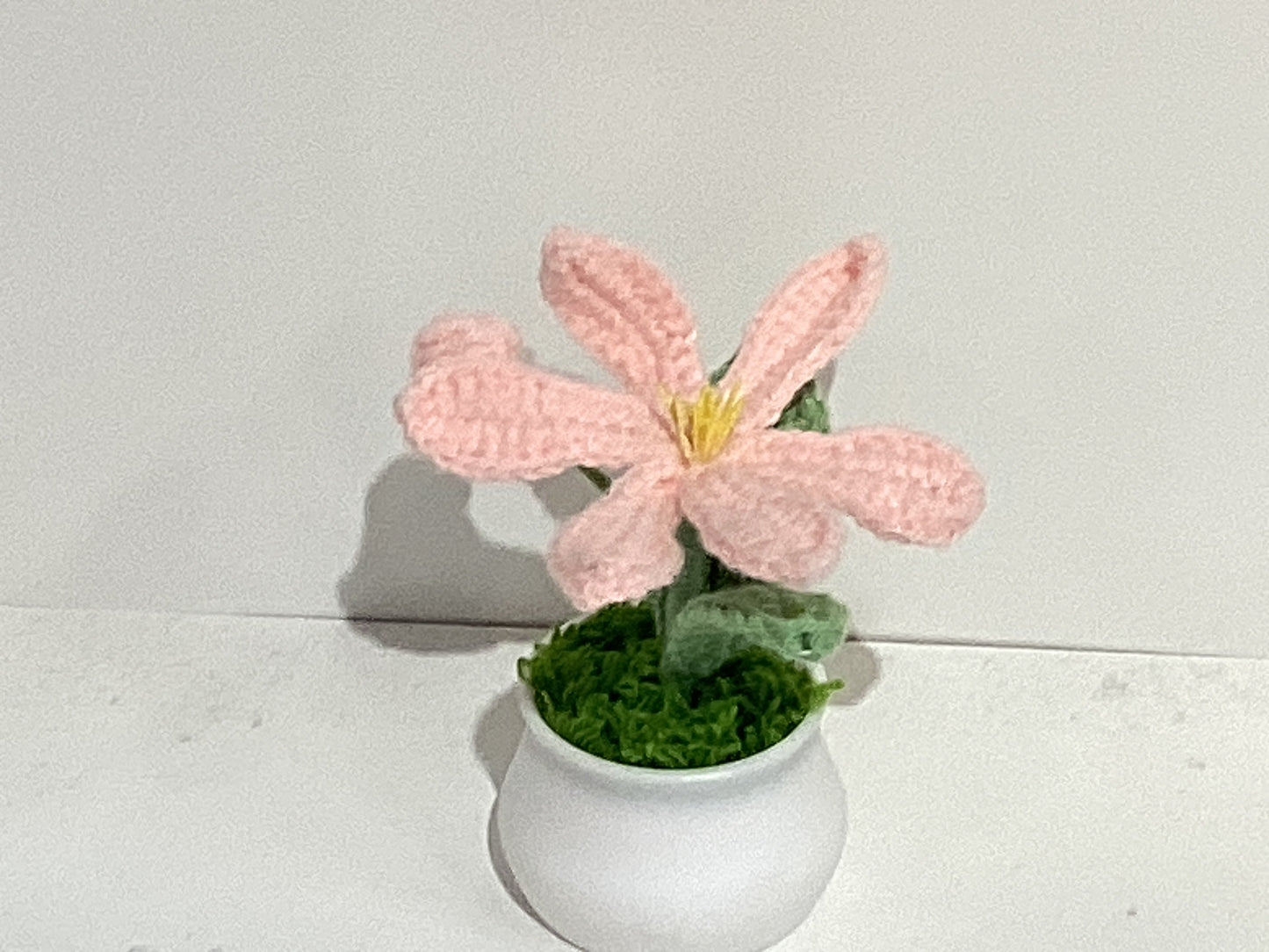 Handmade Crochet Flower Pots