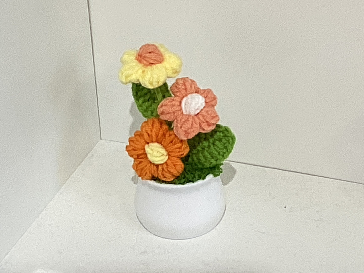 Handmade Crochet Flower Pots