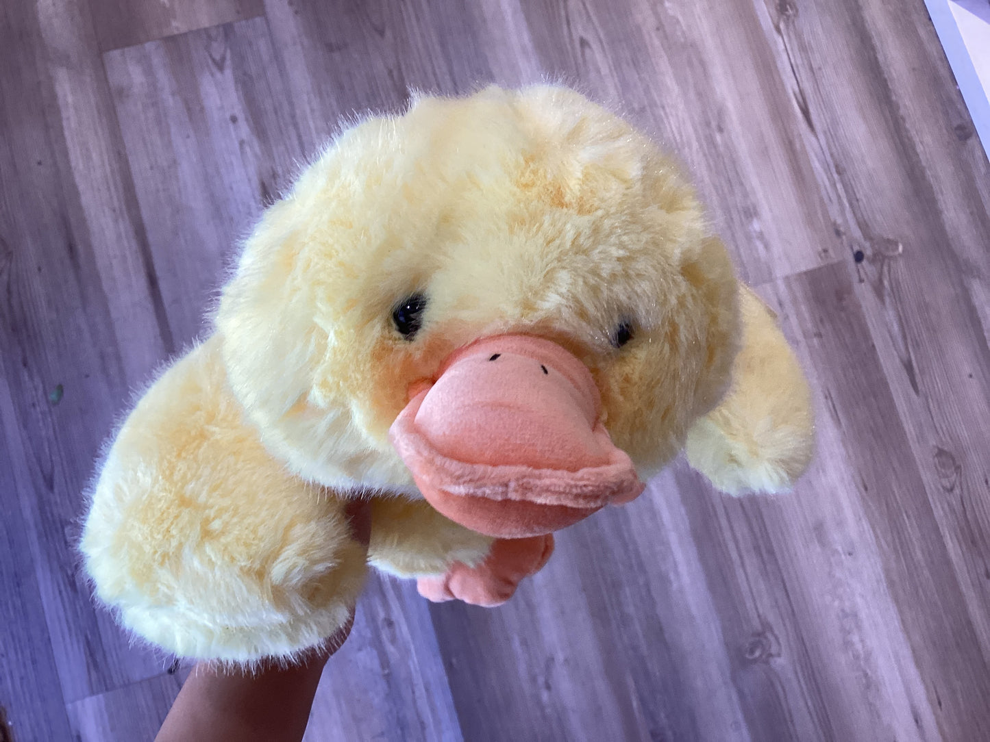 Plush