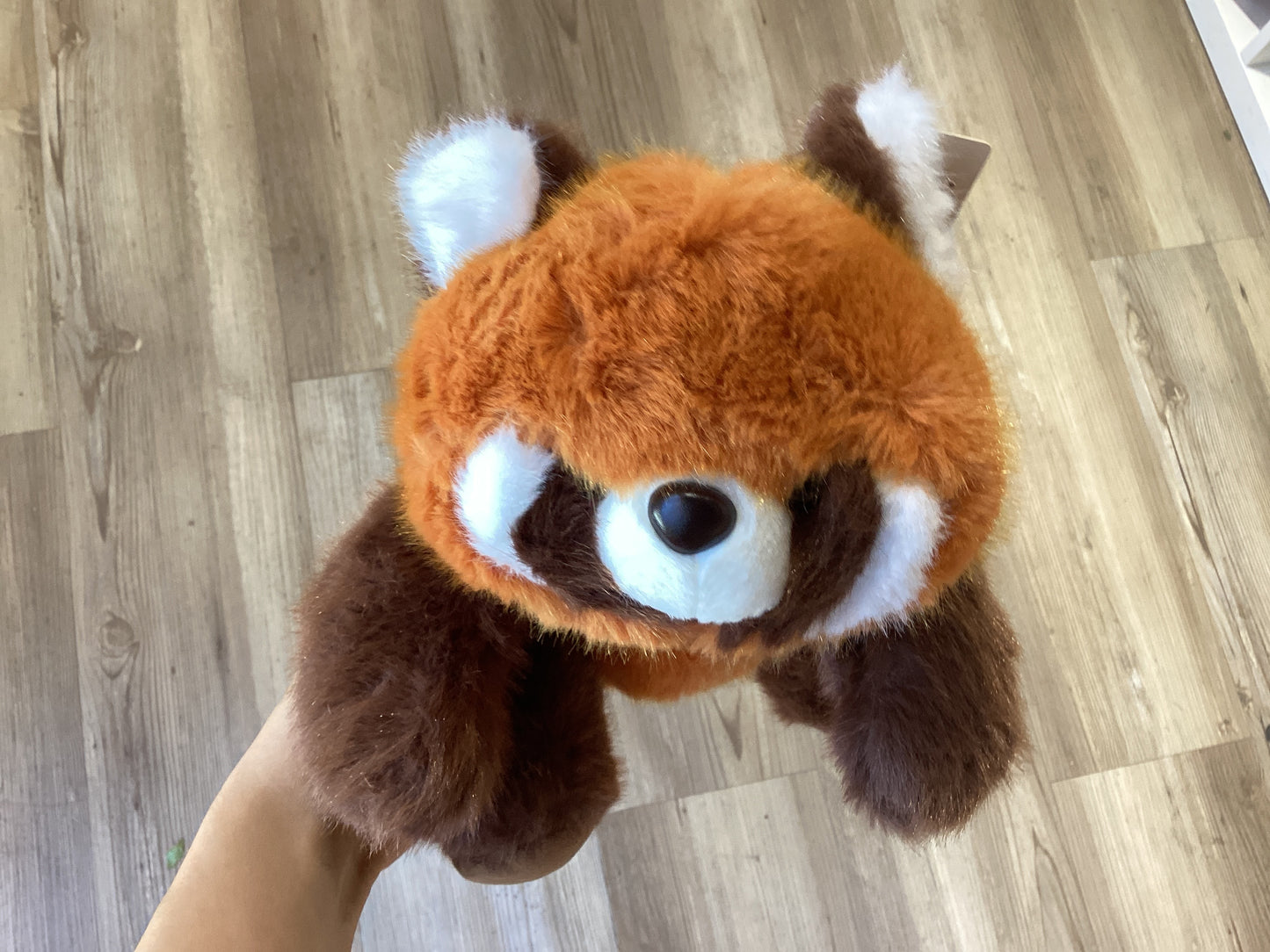 Plush