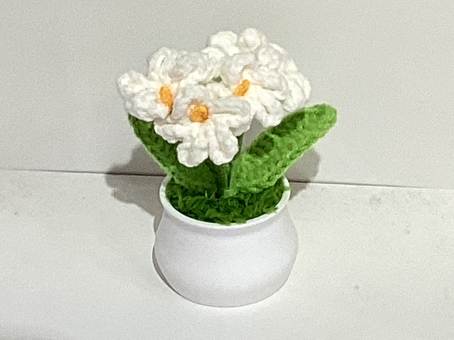 Handmade Crochet Flower Pots
