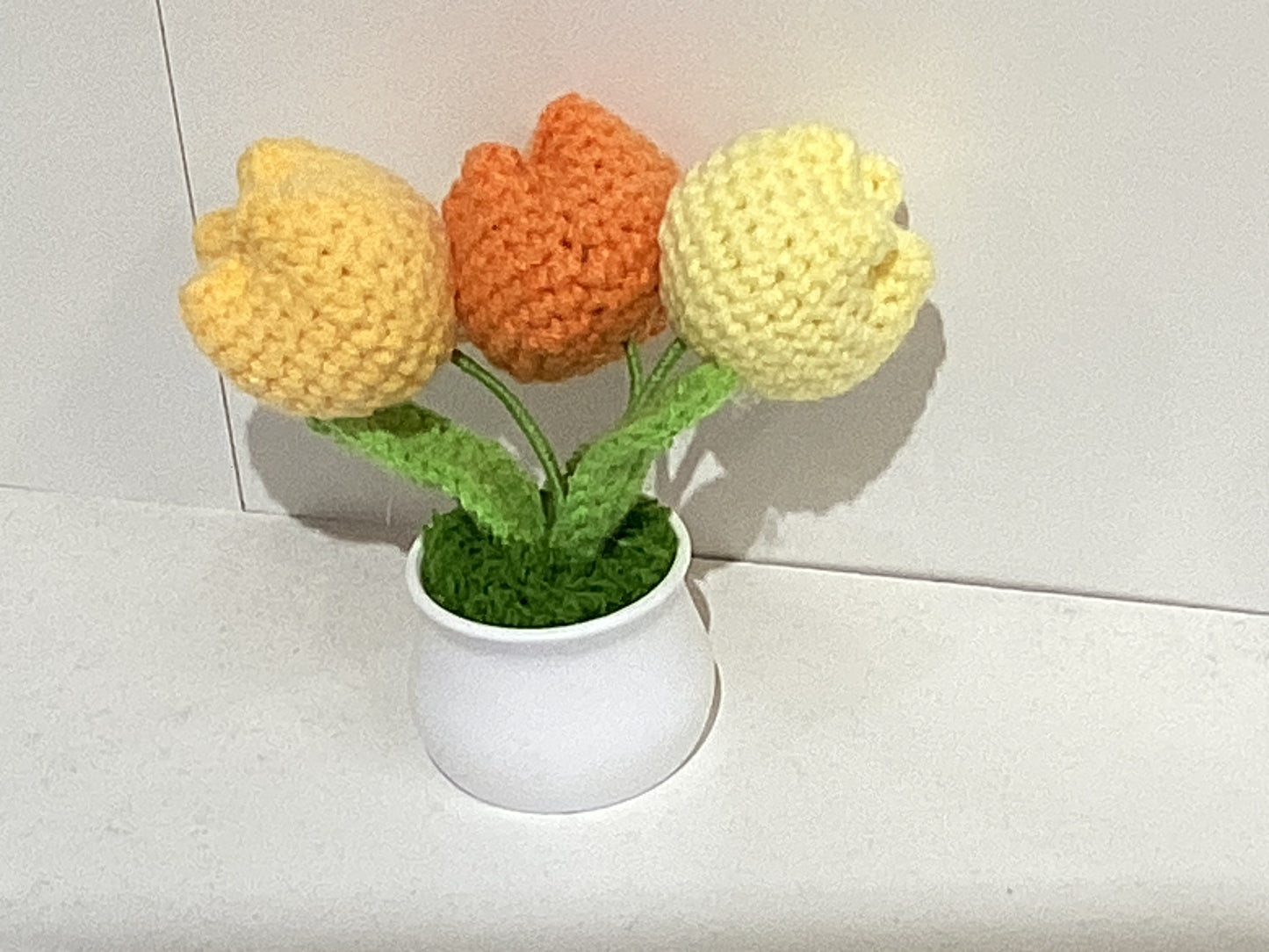 Handmade Crochet Flower Pots