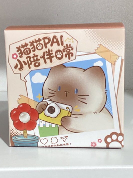 Camera Pai Blind Box