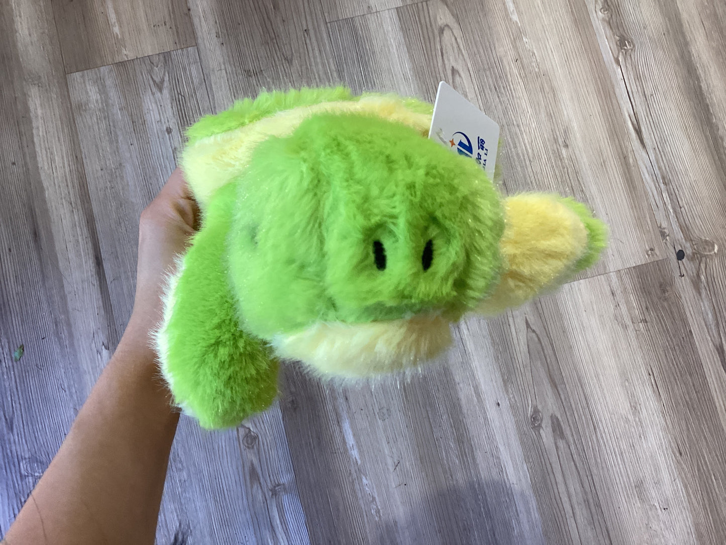 Plush