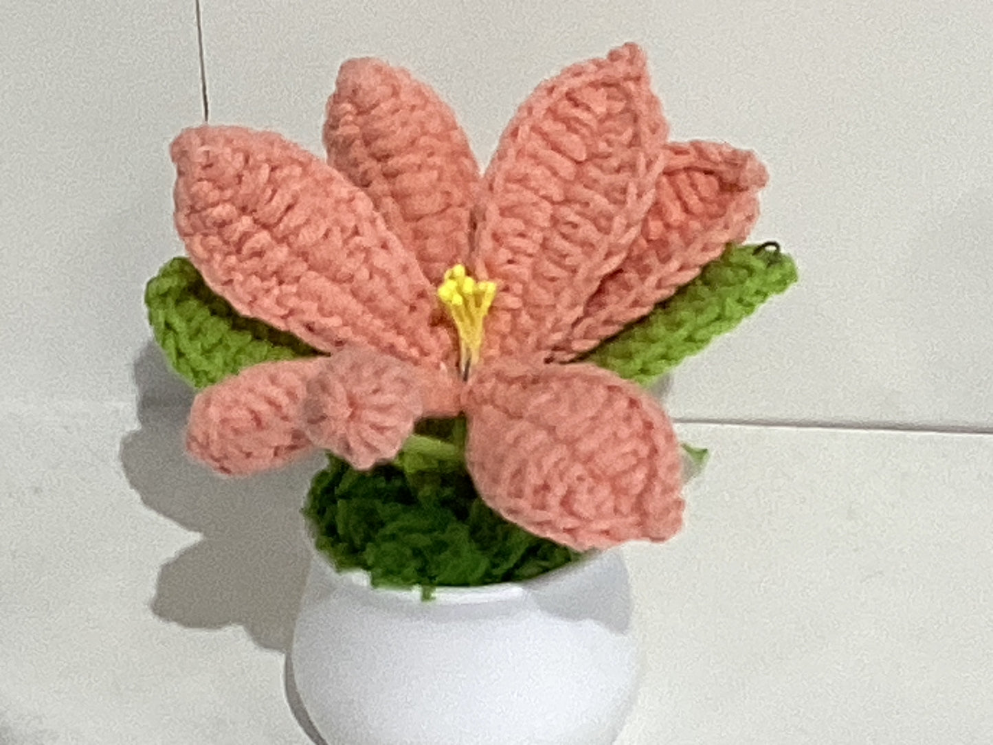 Handmade Crochet Flower Pots