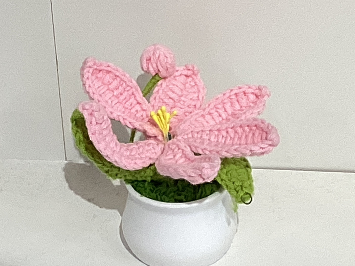 Handmade Crochet Flower Pots