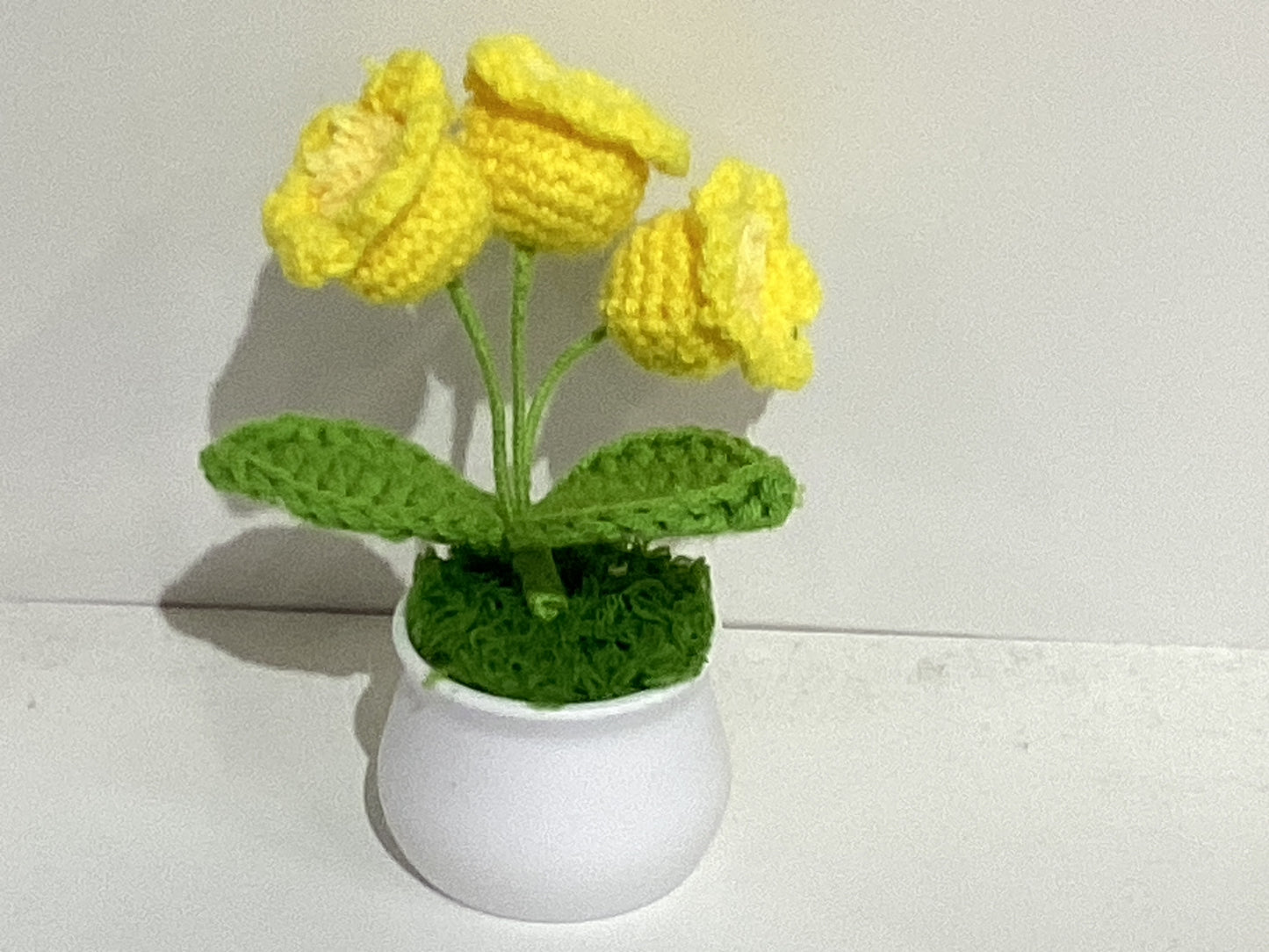 Handmade Crochet Flower Pots