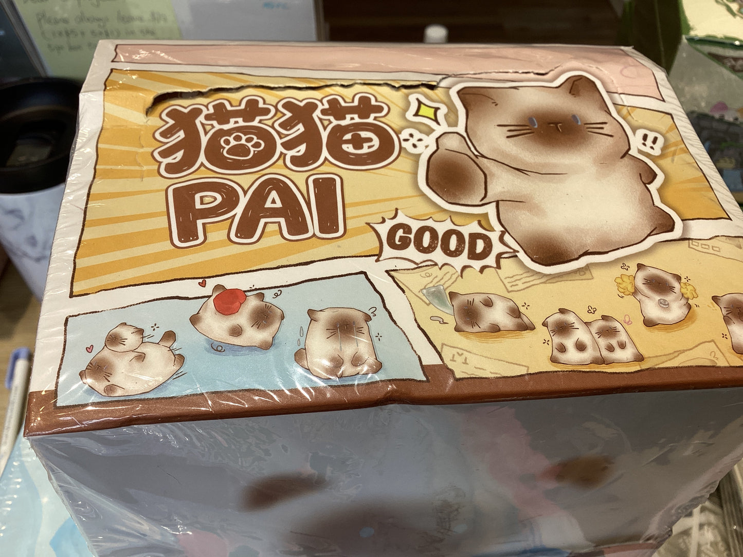 Blind Box Pai