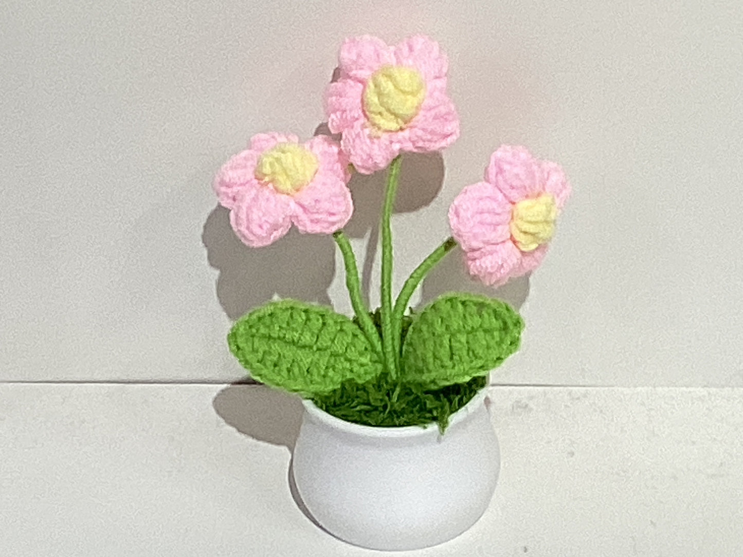 Handmade Crochet Flower Pots