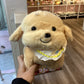 Plush