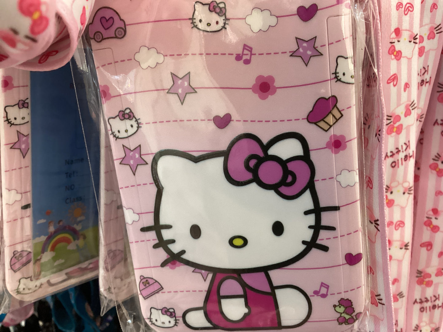 Card Case + Lanyard