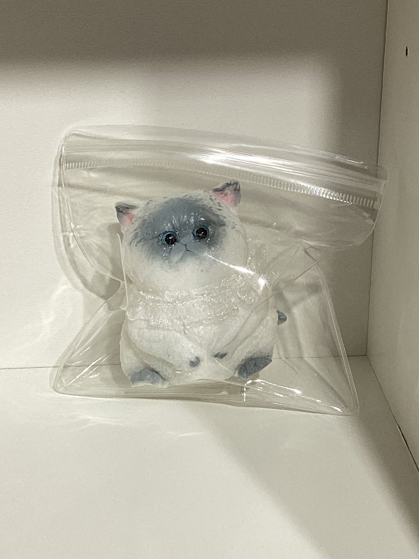 Sticky Squishies