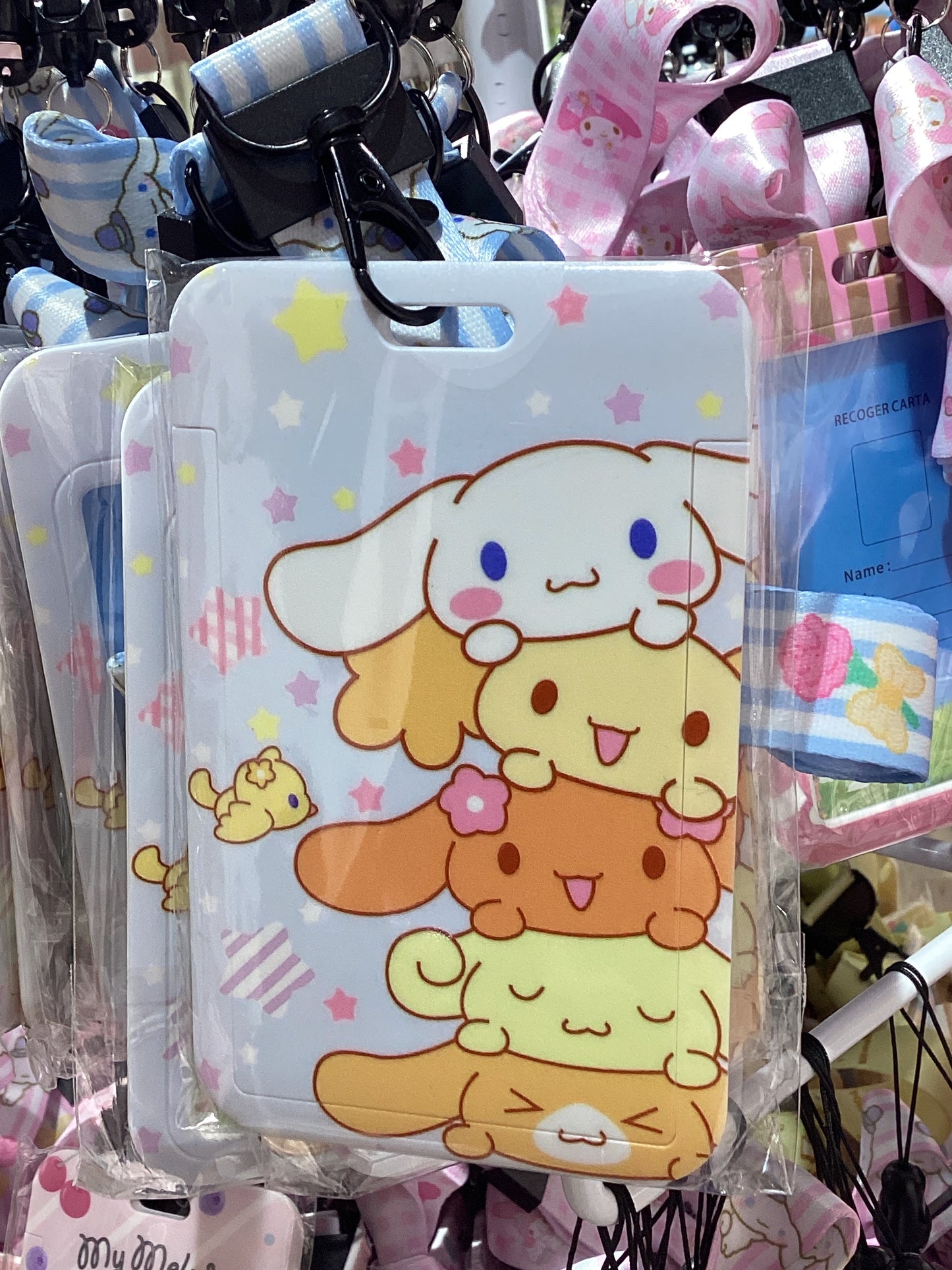 Card Case + Lanyard