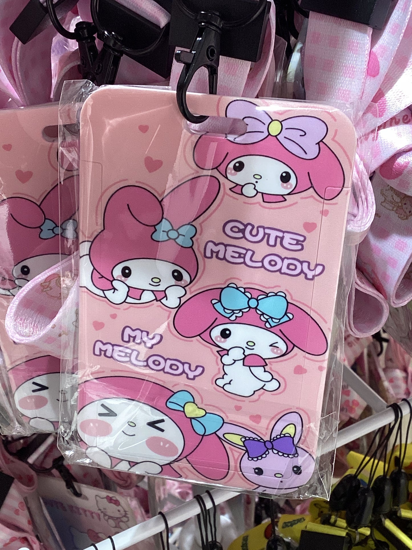 Card Case + Lanyard