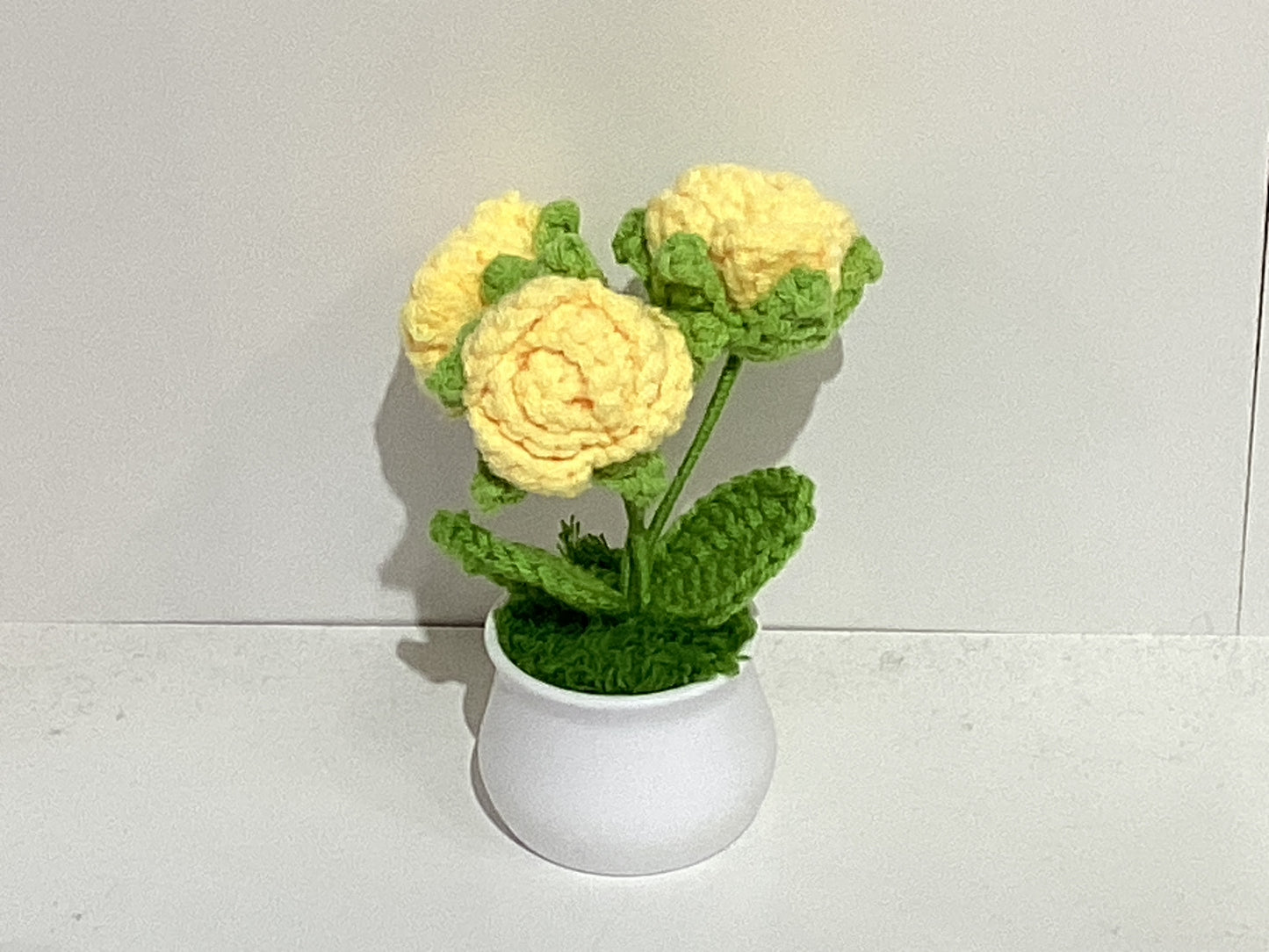 Handmade Crochet Flower Pots