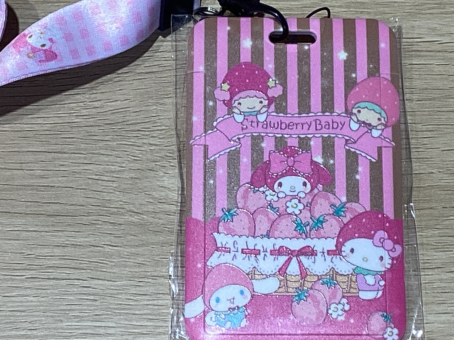 Card Case + Lanyard