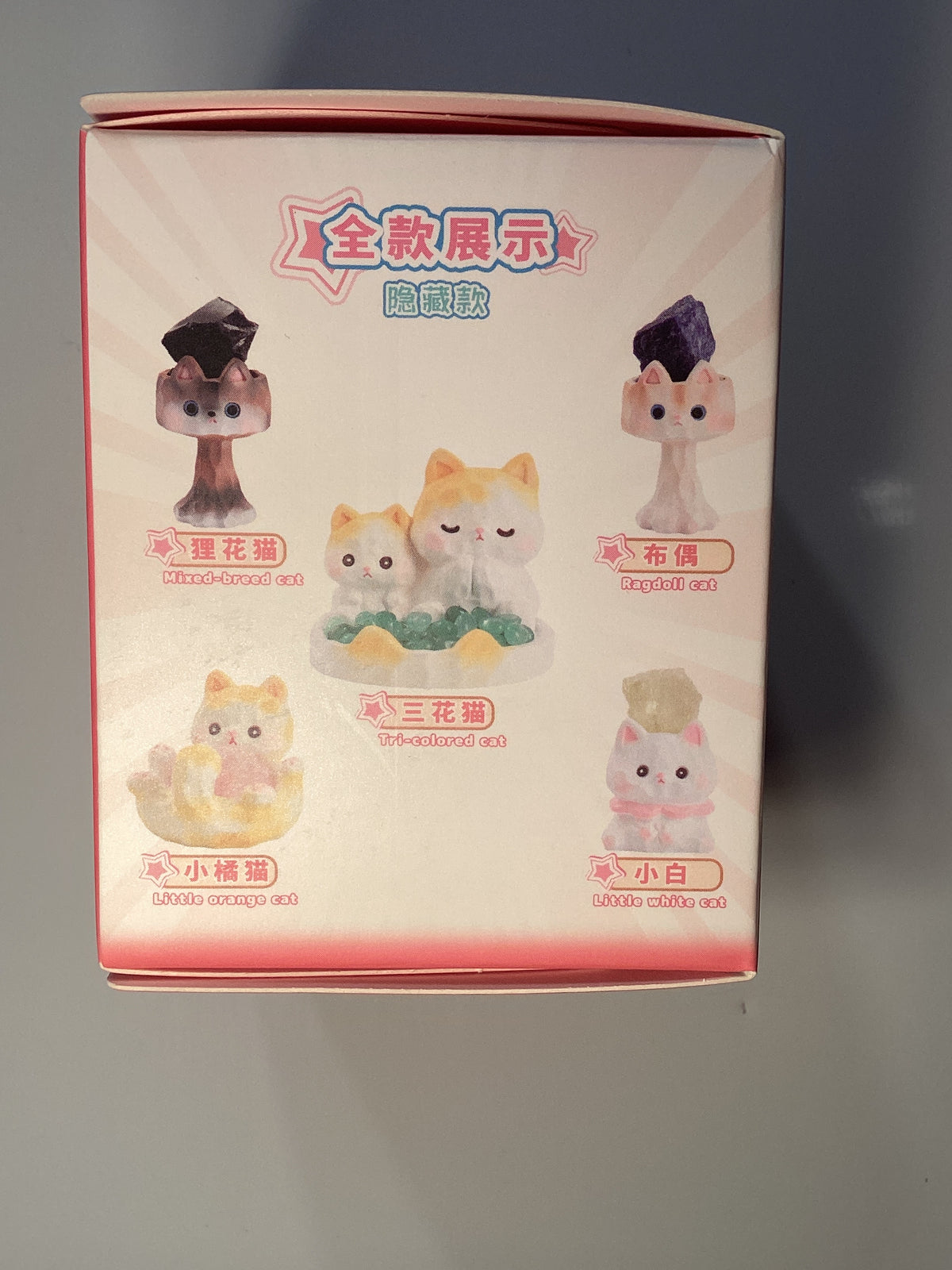 Little beanie crystal blind box