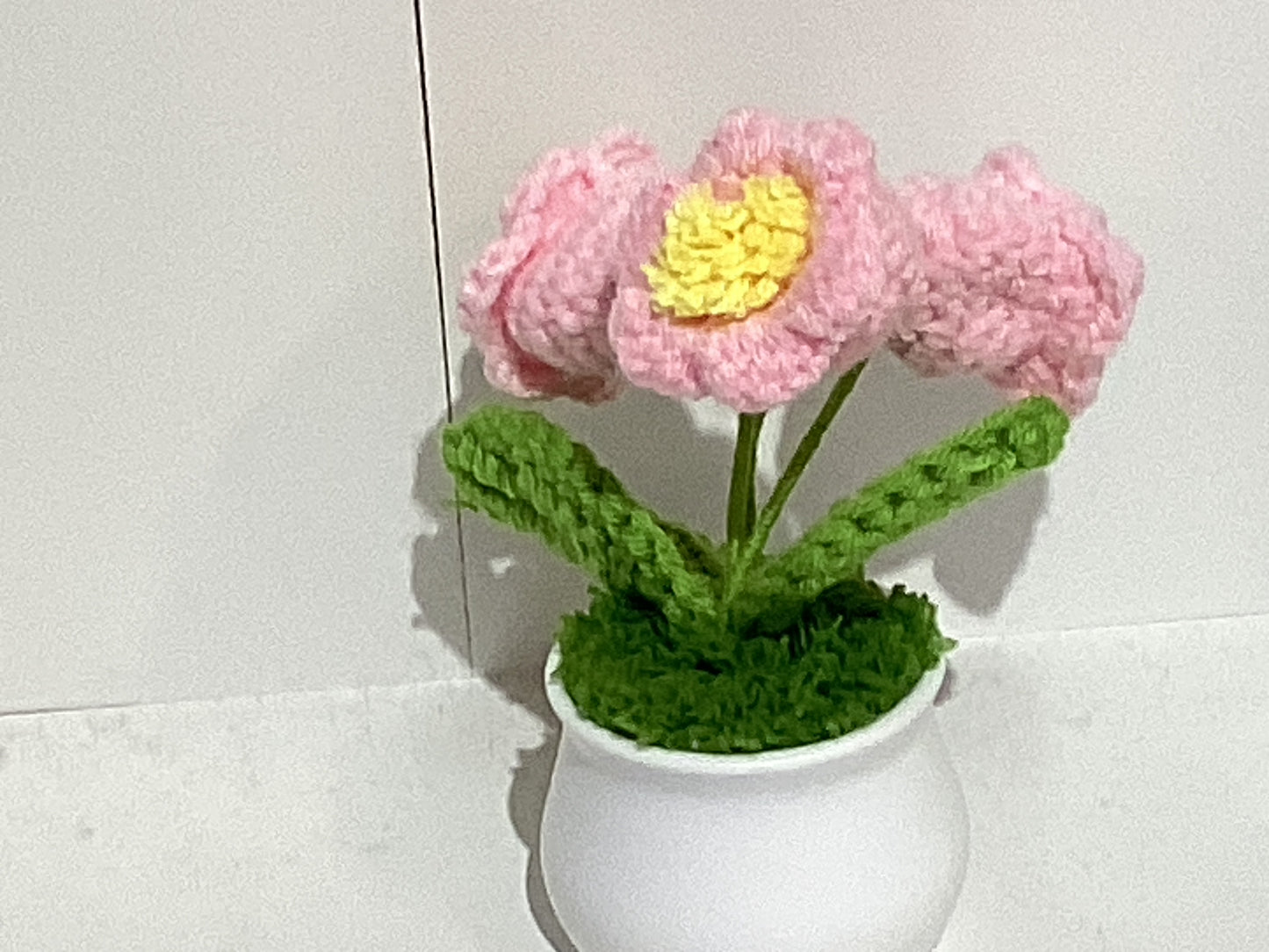 Handmade Crochet Flower Pots