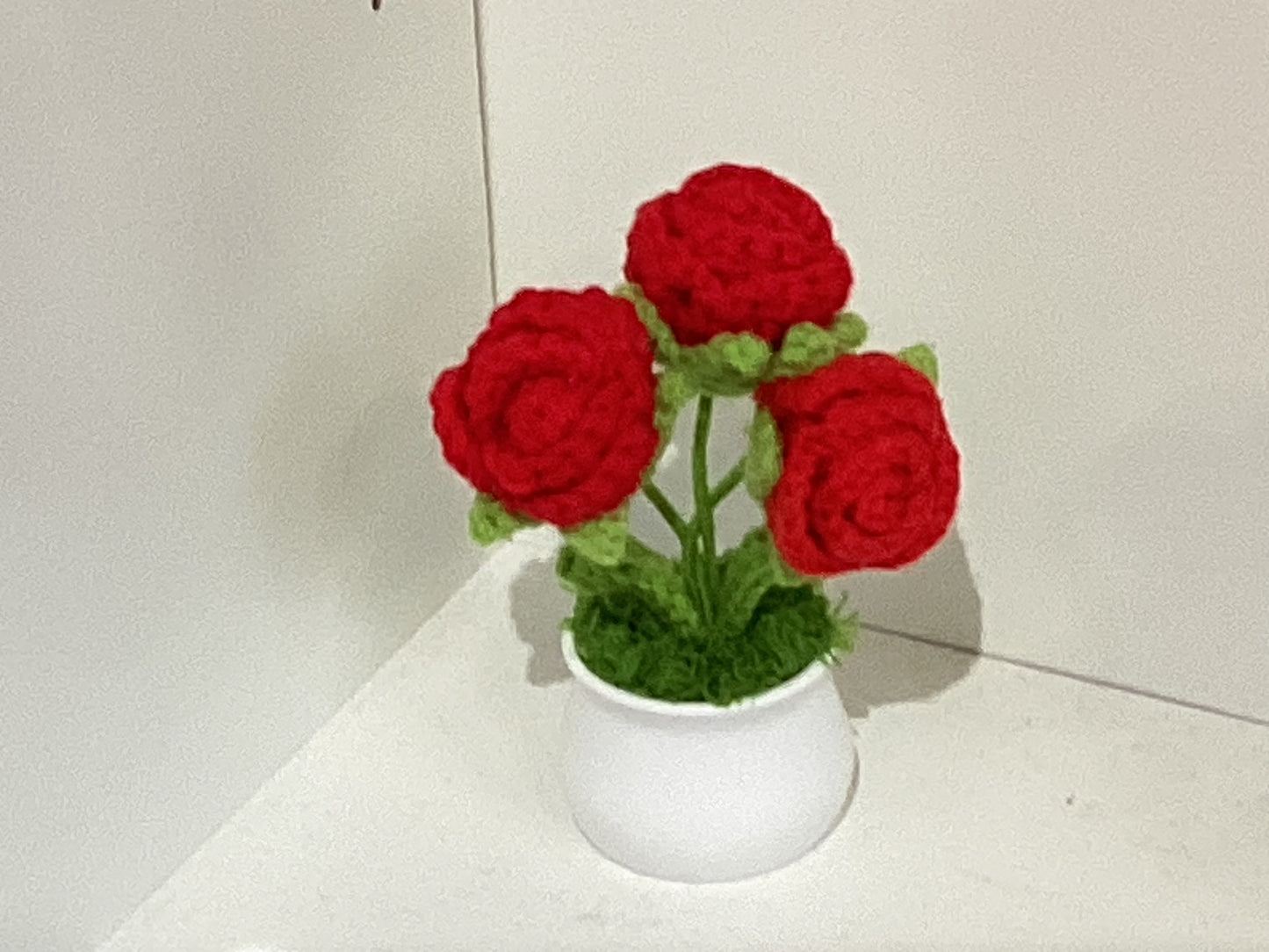 Handmade Crochet Flower Pots