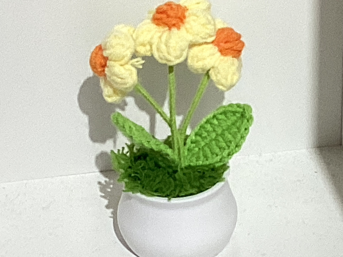Handmade Crochet Flower Pots