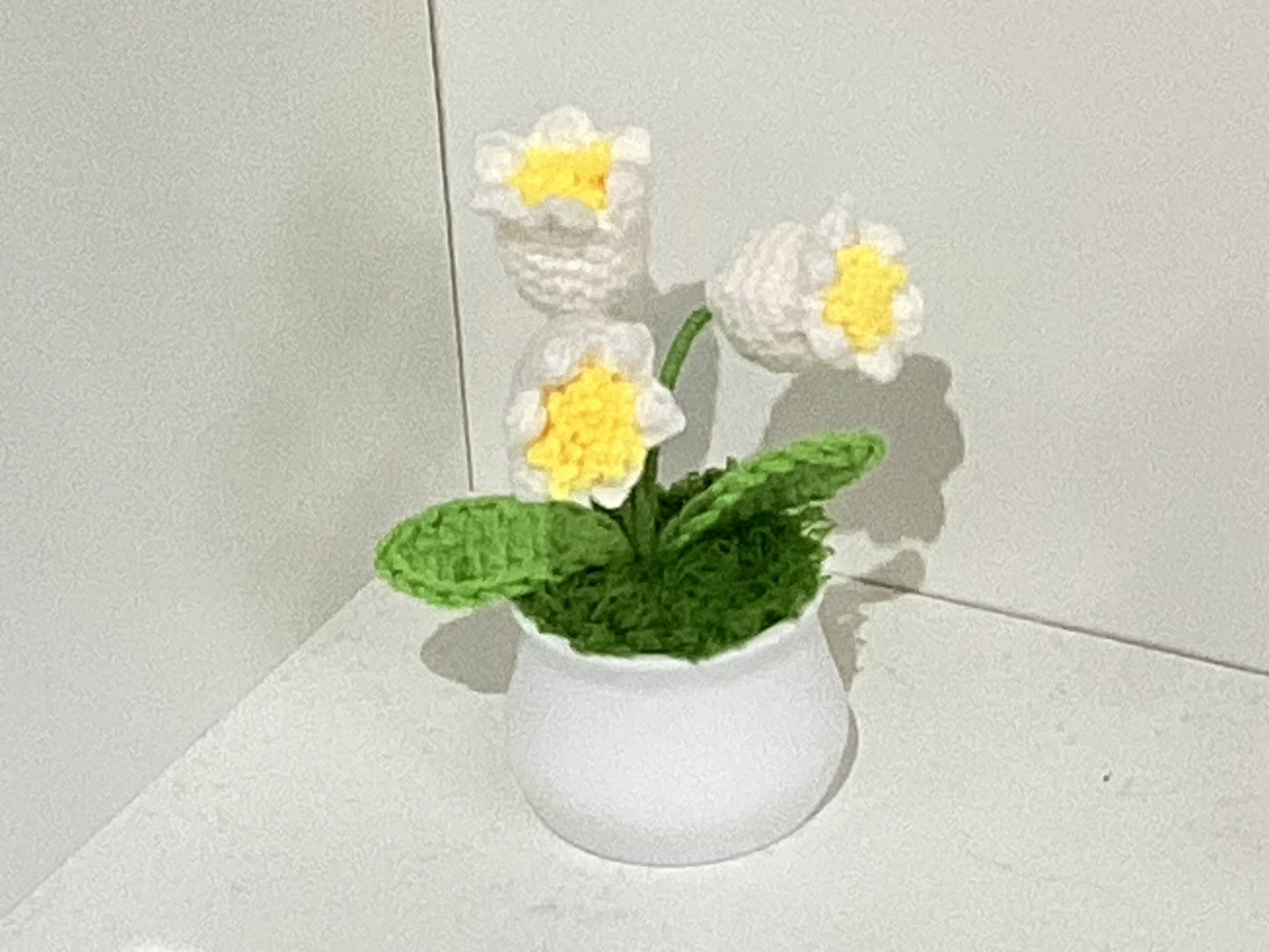 Handmade Crochet Flower Pots