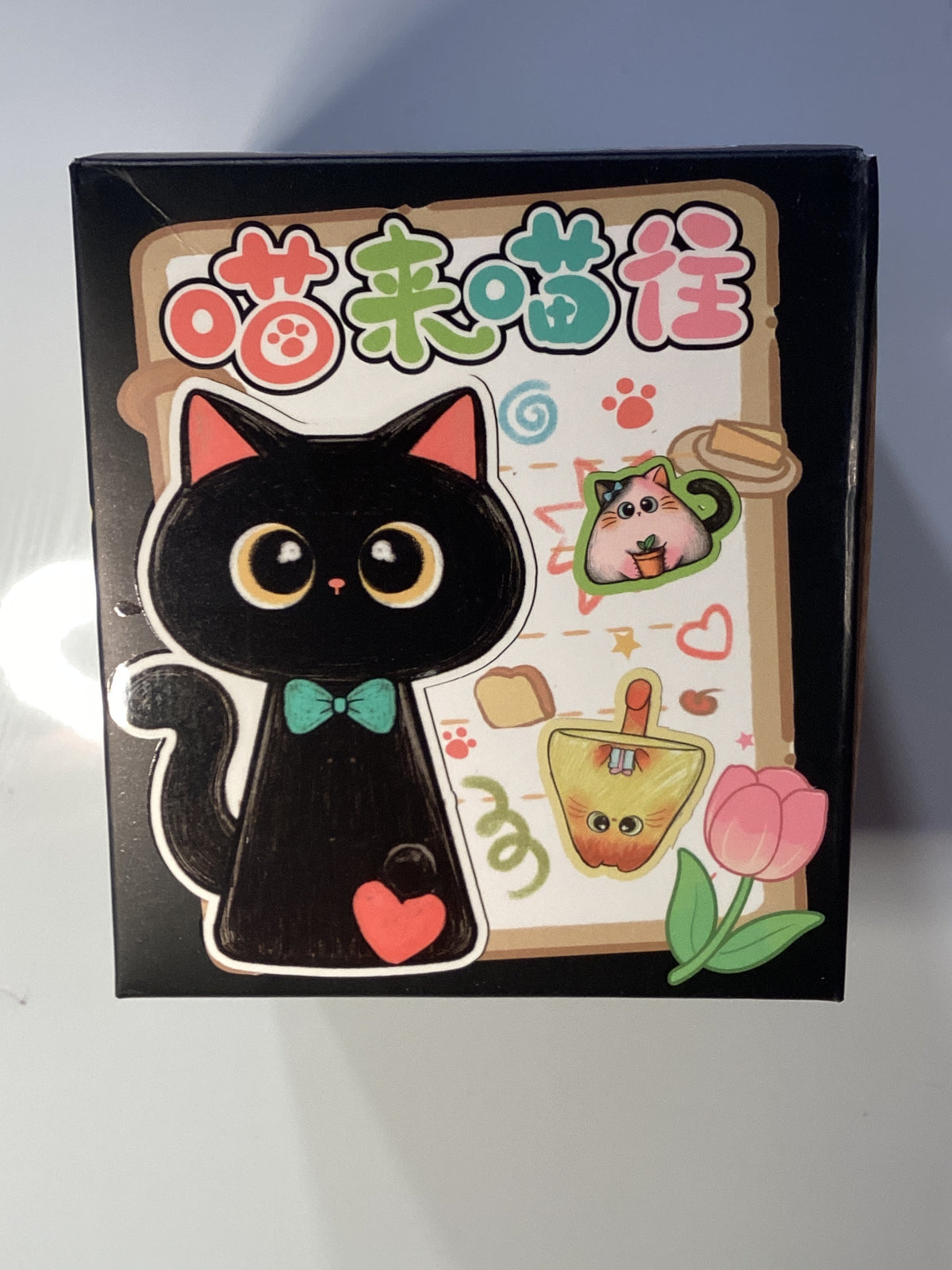 Cute little kittens ~ black box