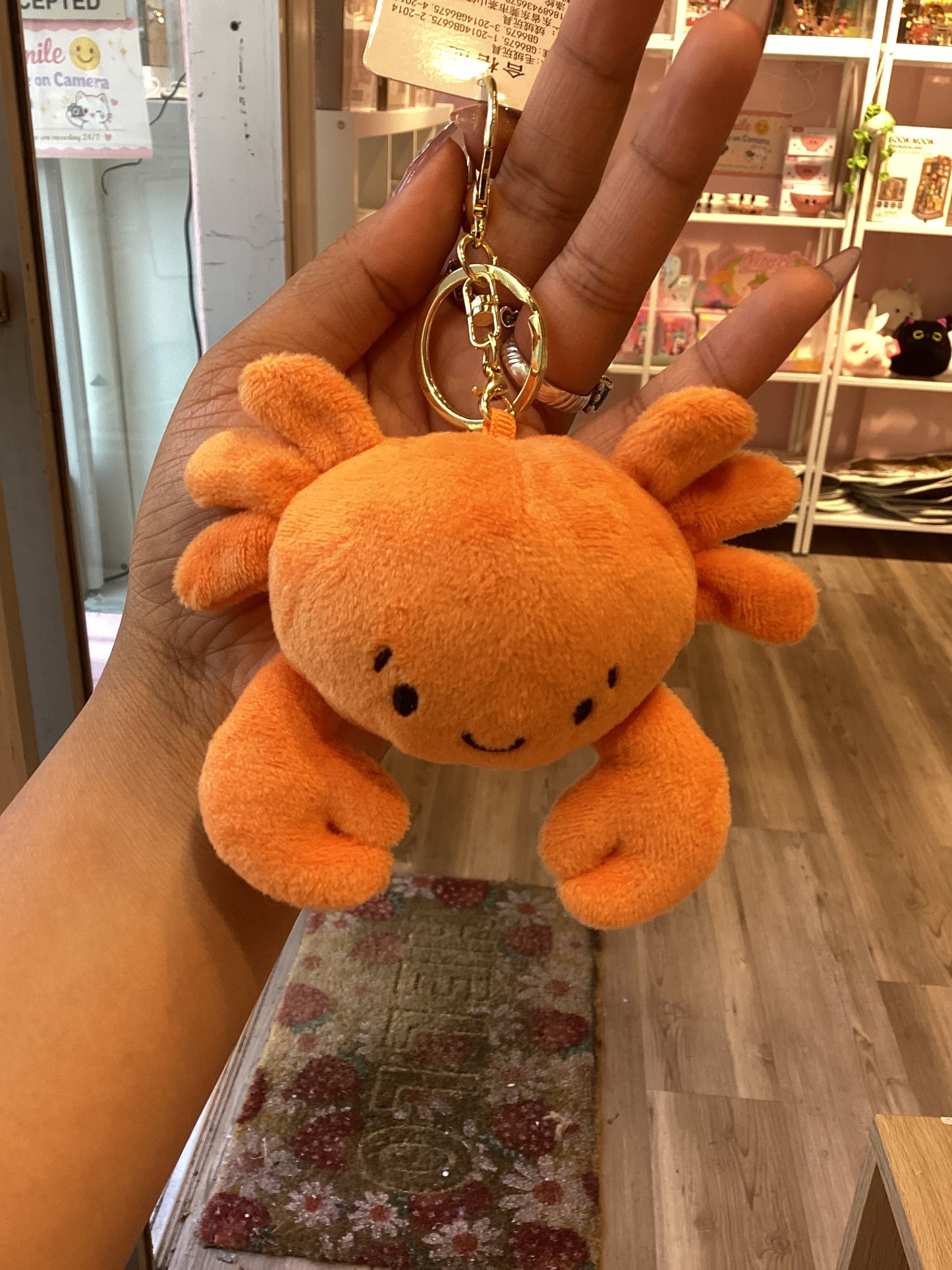 Plush Keychain