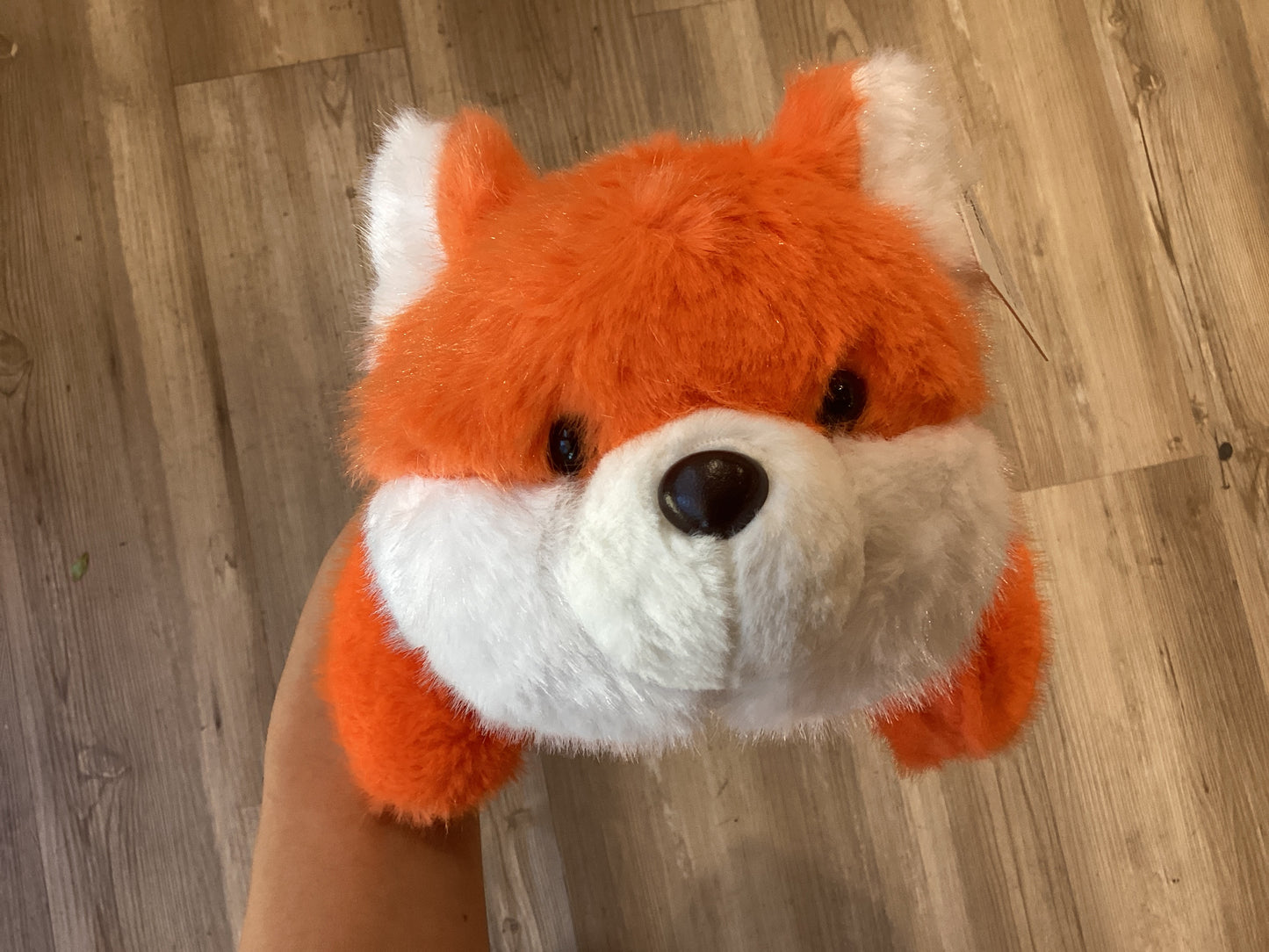Plush